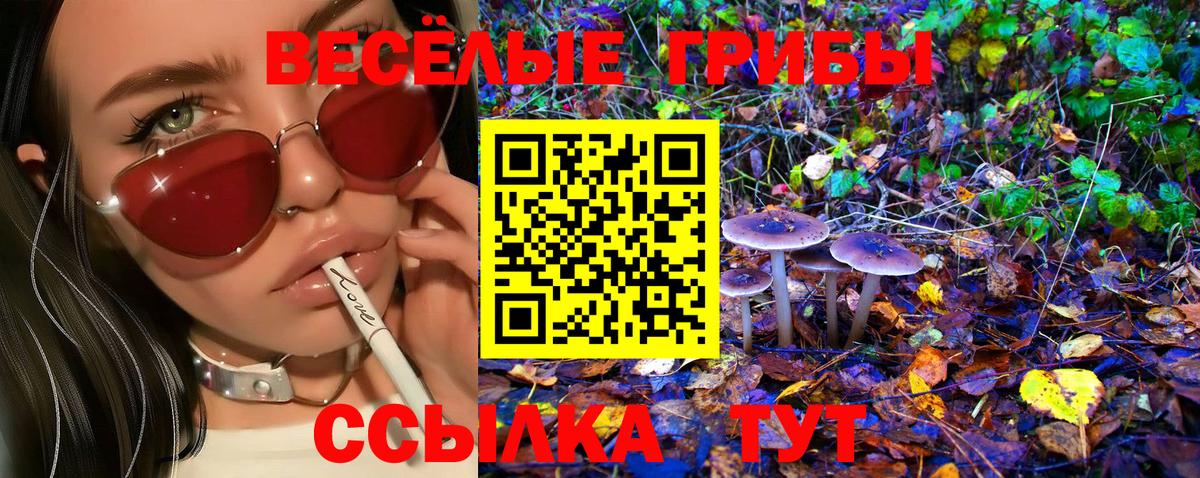Псилоцибиновые грибы MAGIC MUSHROOMS Балаково