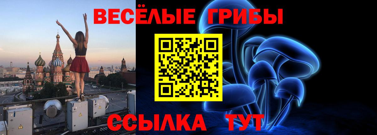 Балаково  Галлюциногенные грибы GOLDEN TEACHER  Псилоцибиновые грибы Cubensis  Вход с VPN 